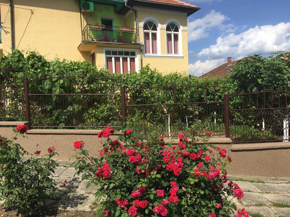 Vila Arjana Orsova Ngoại thất bức ảnh